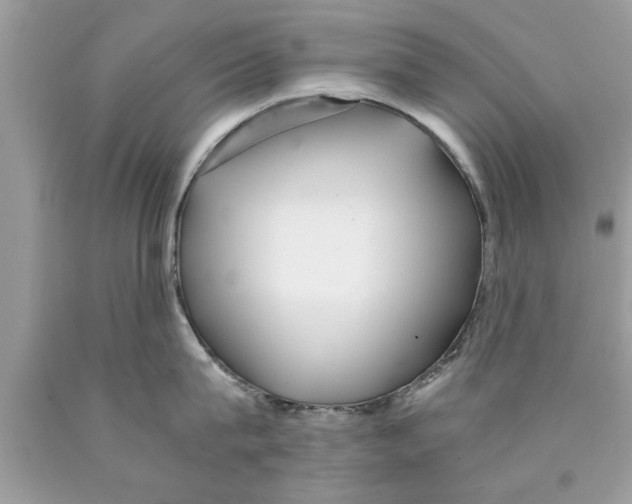 X0000089870815200707262147