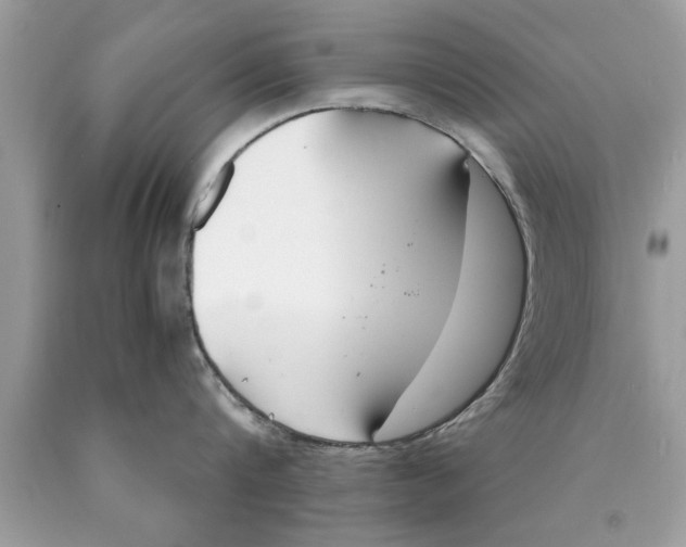 X0000089870816200707262147