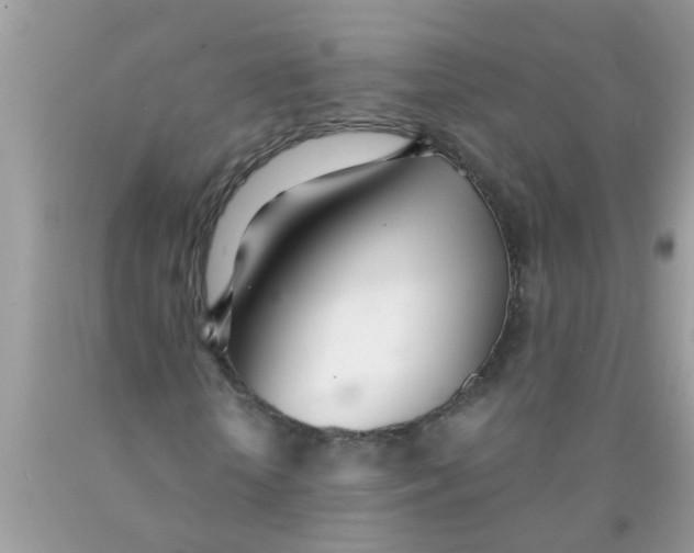 X0000089870818200707262147