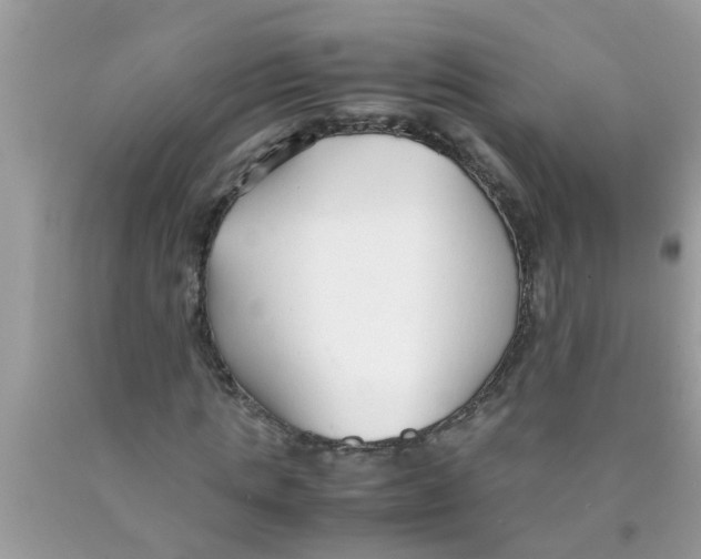 X0000089870821200707262147