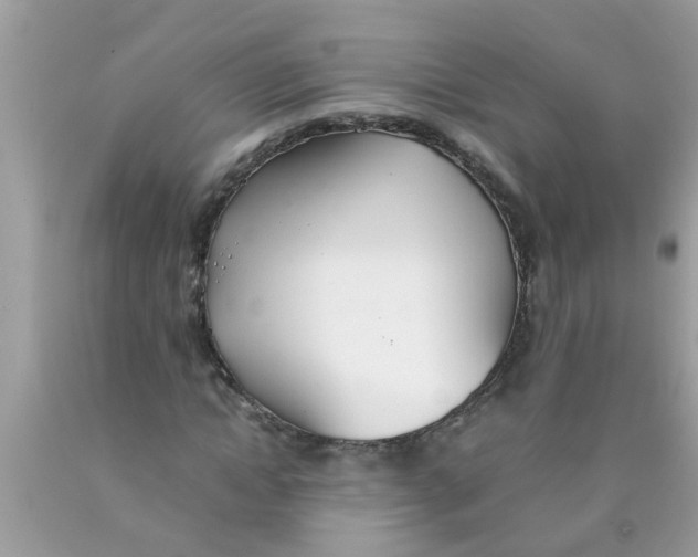 X0000089870822200707262147