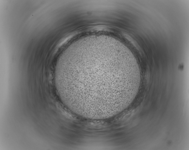 X0000089870823200707262147
