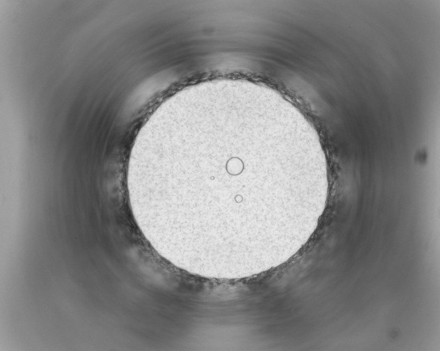 X0000089870824200707262147
