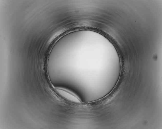 X0000089870826200707262147