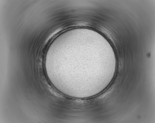 X0000089870827200707262147