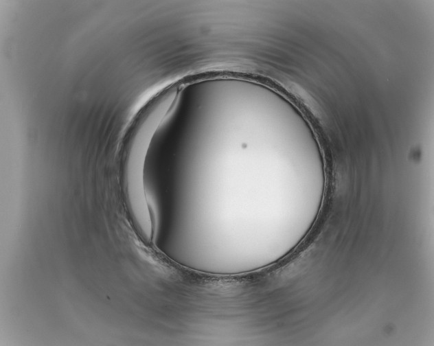 X0000089870830200707262147