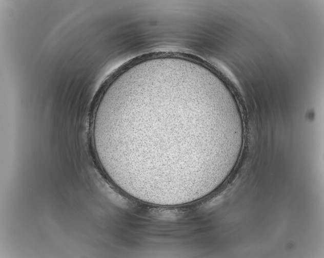 X0000089870831200707262147