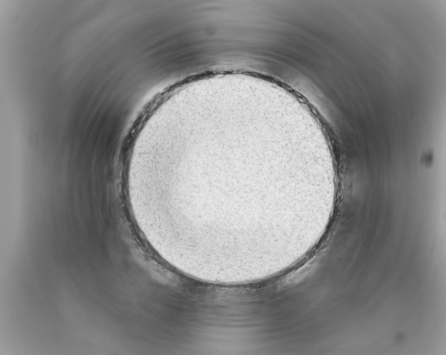 X0000089870832200707262147