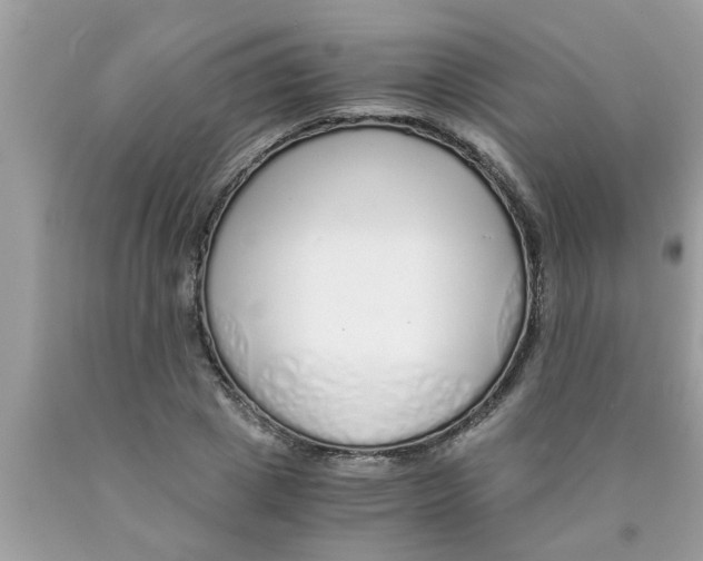 X0000089870833200707262147