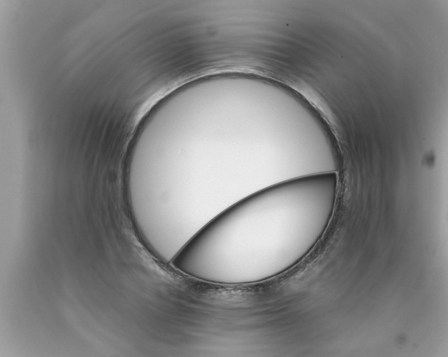 X0000089870834200707262147