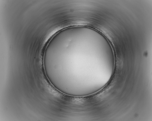 X0000089870835200707262147