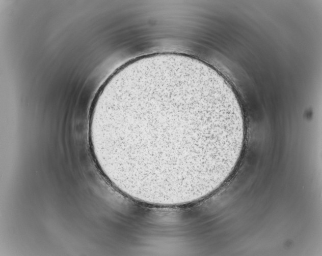 X0000089870836200707262147