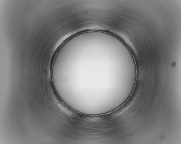 X0000089870837200707262147