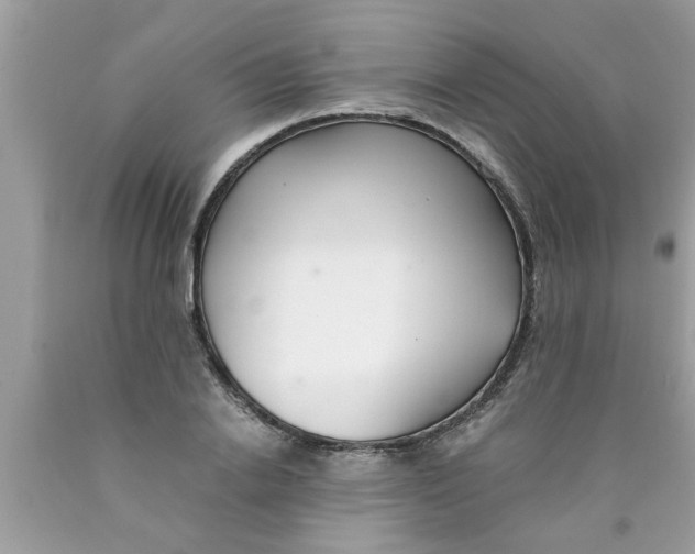 X0000089870838200707262147