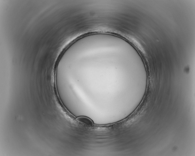 X0000089870839200707262147