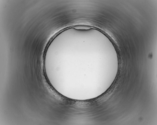 X0000089870840200707262147