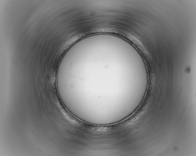 X0000089870841200707262147