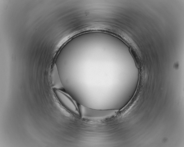 X0000089870842200707262147