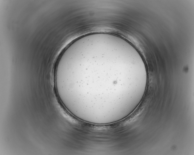 X0000089870843200707262147