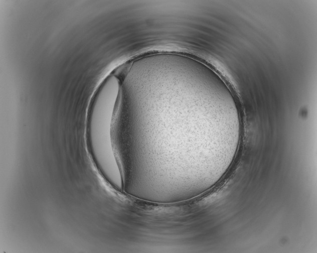 X0000089870845200707262147
