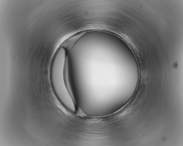 X0000089870846200707262147