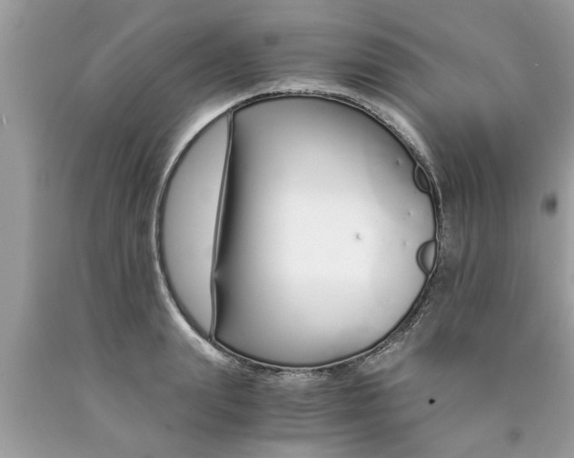 X0000089870847200707262147