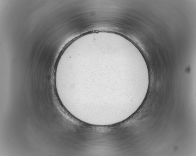 X0000089870848200707262147