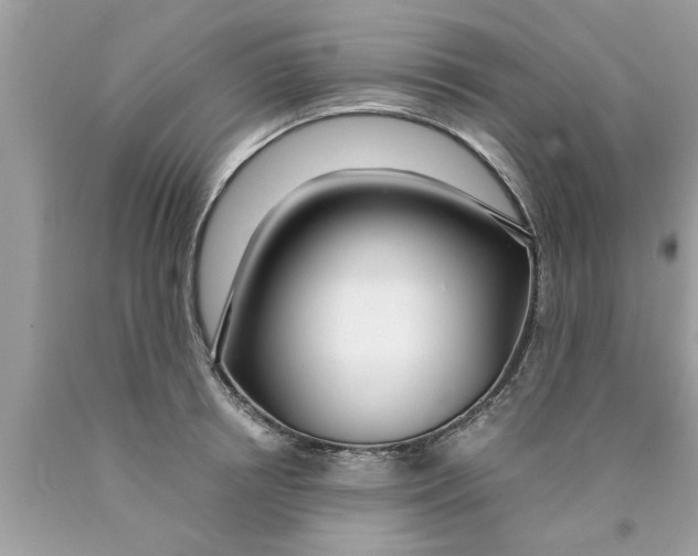 X0000089870850200707262147