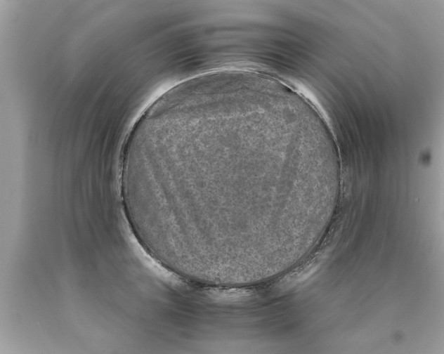 X0000089870851200707262147
