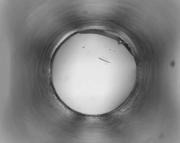 X0000089870852200707262147
