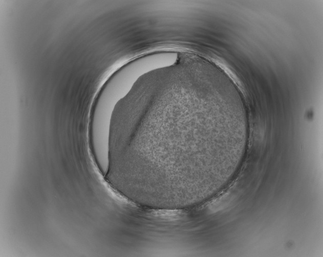 X0000089870853200707262147
