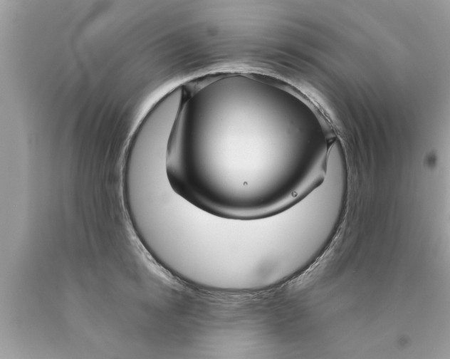 X0000089870854200707262147