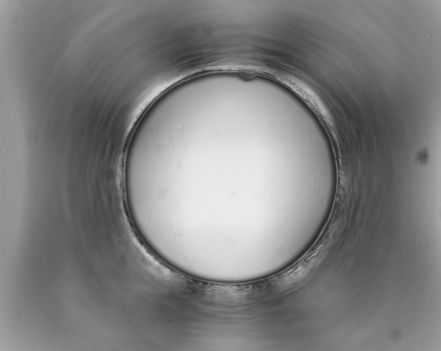 X0000089870855200707262147
