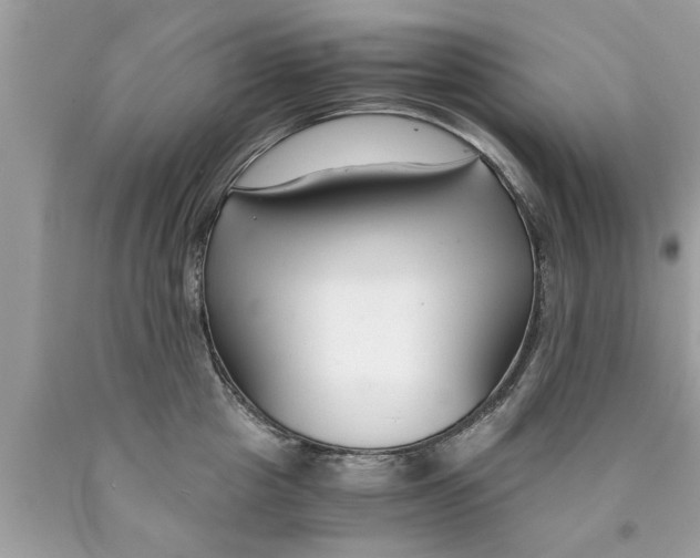 X0000089870857200707262147
