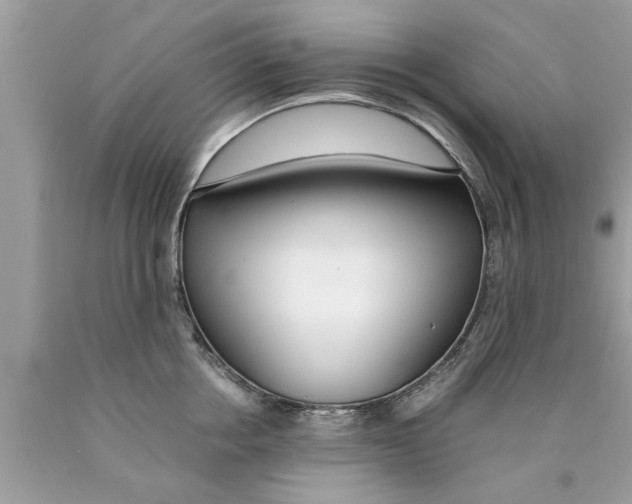 X0000089870858200707262147