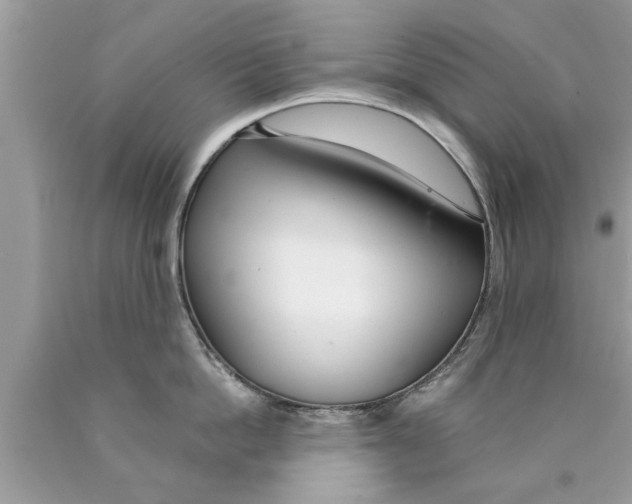 X0000089870862200707262147