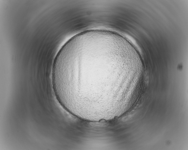 X0000089870863200707262147