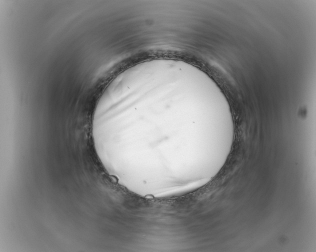 X0000089870870200707262147