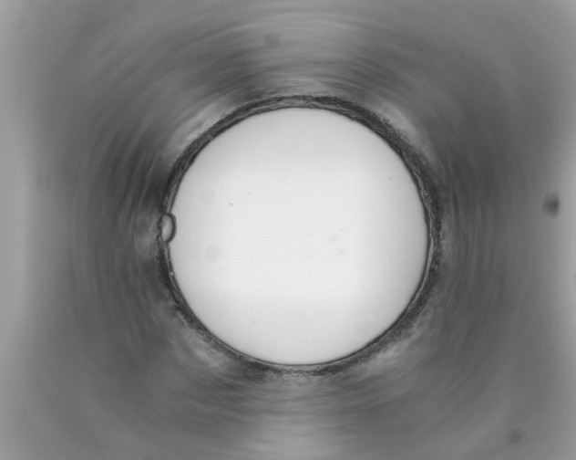 X0000089870873200707262147