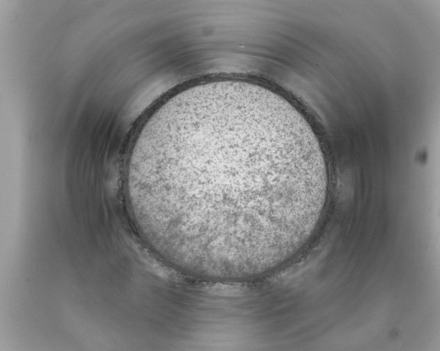 X0000089870874200707262147