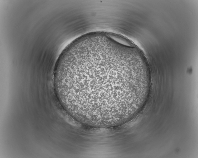 X0000089870879200707262147