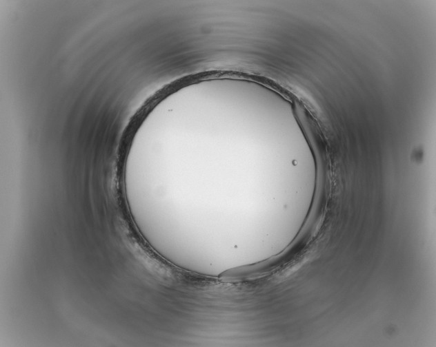 X0000089870880200707262147