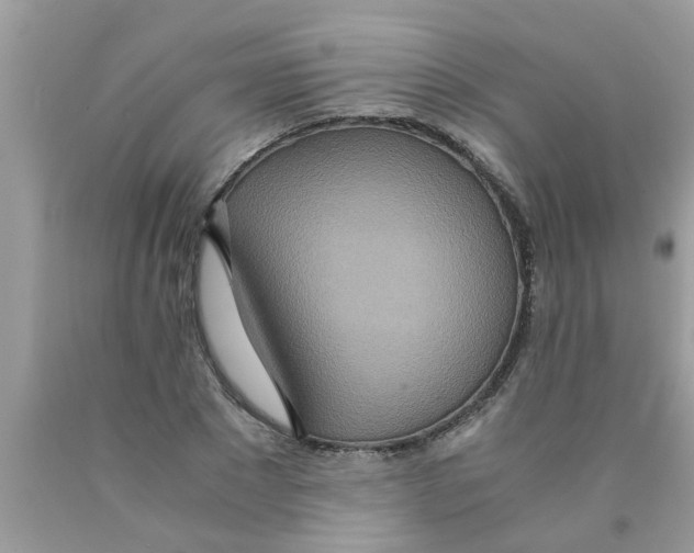 X0000089870881200707262147