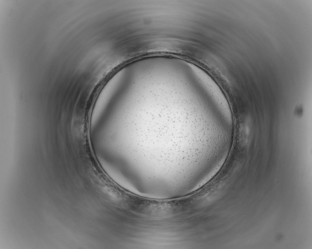 X0000089870882200707262147