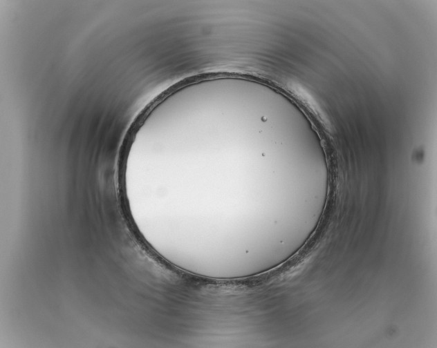 X0000089870884200707262147