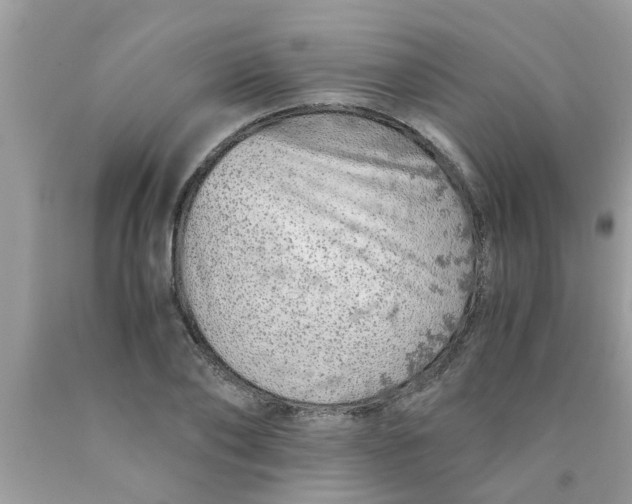 X0000089870886200707262147