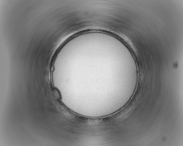 X0000089870887200707262147