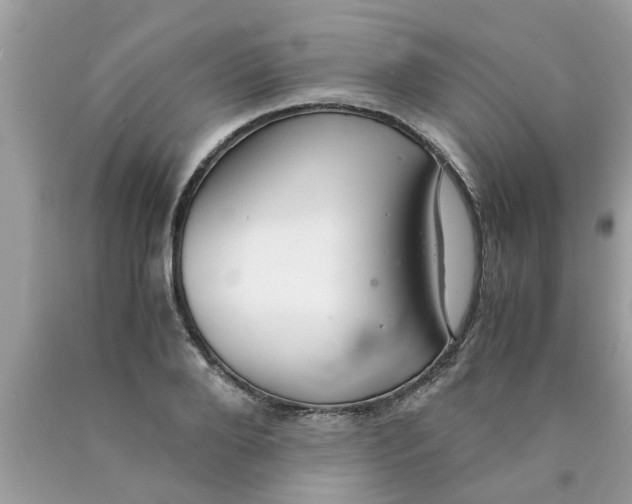 X0000089870888200707262147