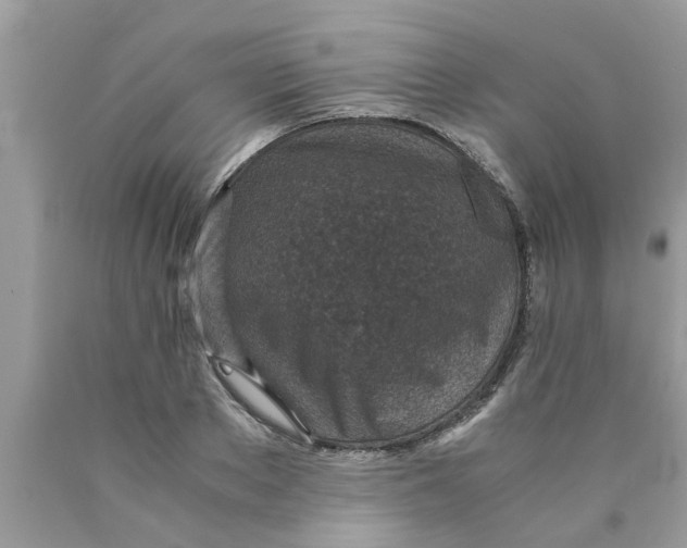 X0000089870889200707262147