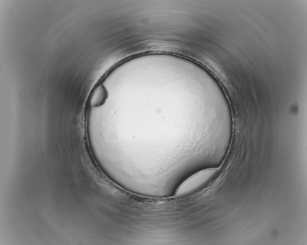 X0000089870891200707262147